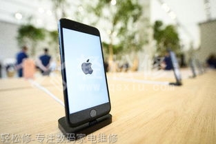 祁东县苹果专卖店地址查询_祁东县苹果手机授权店电话