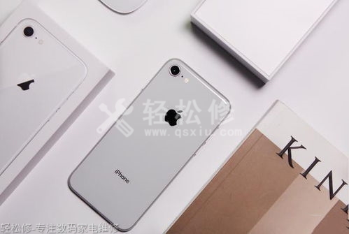 金州区苹果专卖店地址查询_金州区苹果手机授权店电话