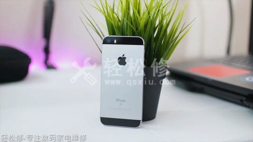 七里河区苹果专卖店地址查询_七里河区苹果手机授权店电话