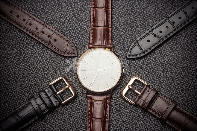 江斯丹顿手表哪些型号有定时器功能